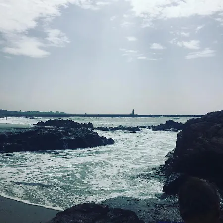 Estrelicia Apartman Porto