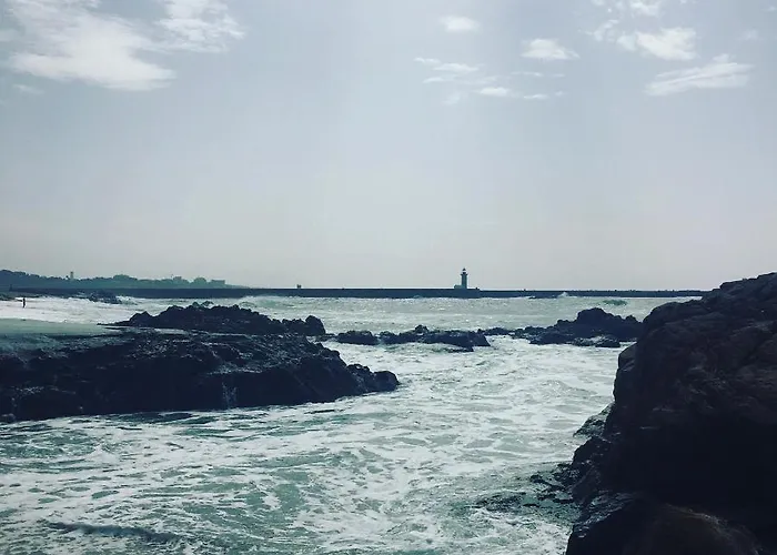 Estrelicia Apartmán Porto