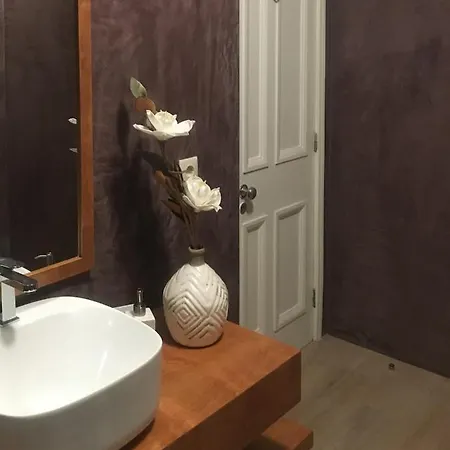 Apartman Estrelicia Porto