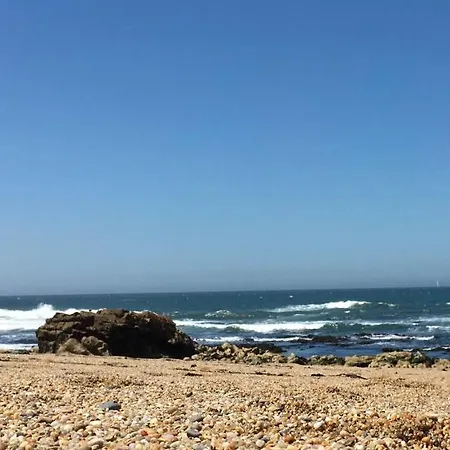 Estrelicia Lejlighed Porto